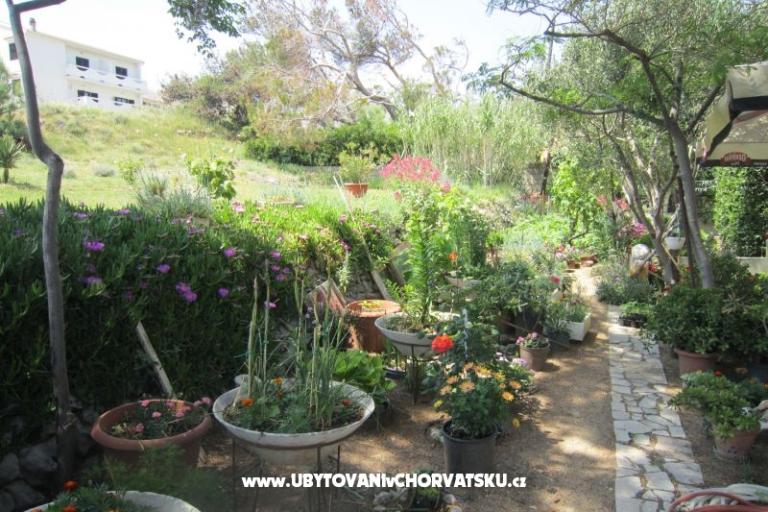 Apartmány Mediteran Pag – foto 10