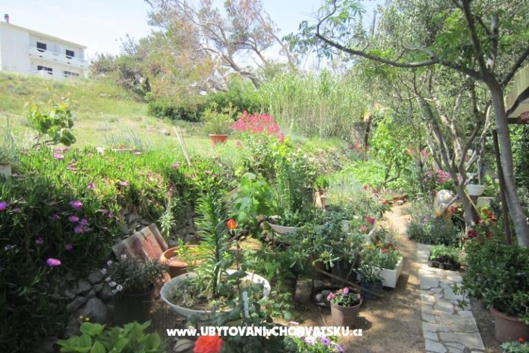 Apartmány Mediteran Pag – foto 11