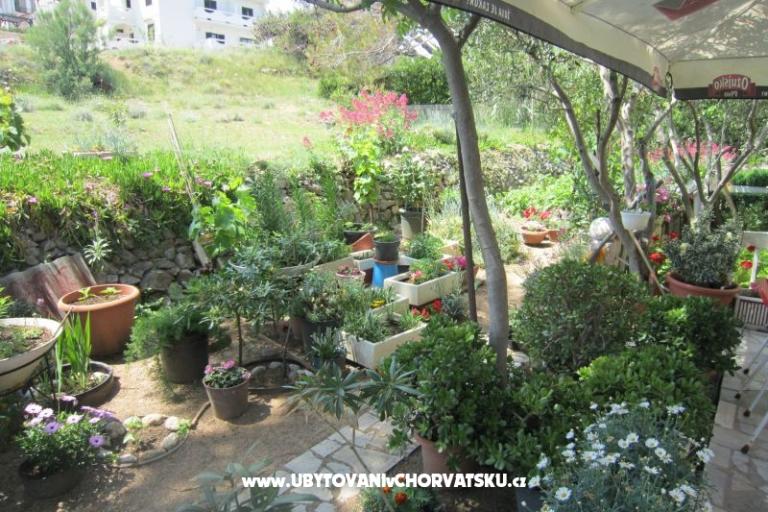 Apartmány Mediteran Pag – foto 8