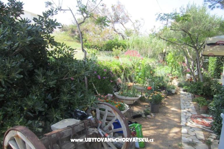 Apartmány Mediteran Pag – foto 9