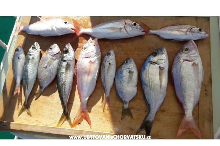 Apartmány RIA 2 – foto 11