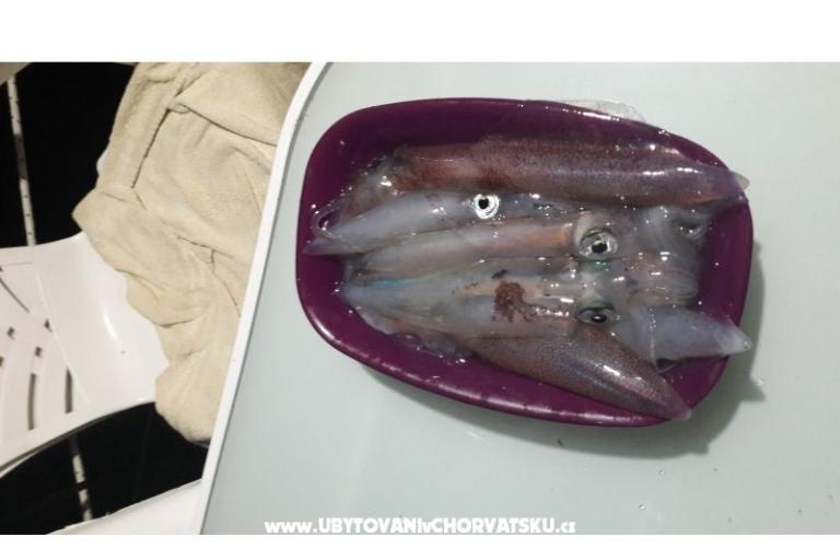 Apartmány RIA 2 – foto 12