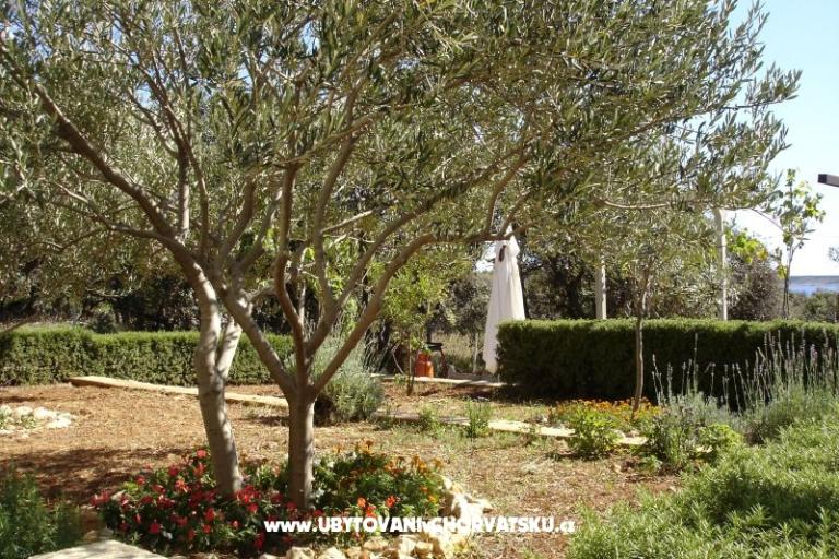 Apartmány Salvia island Pag Mandre – foto 18