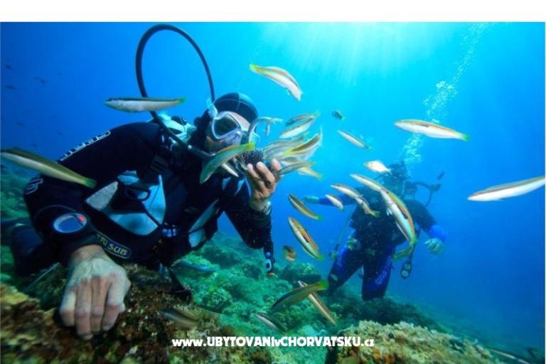 Apartmány Vinko – foto 17