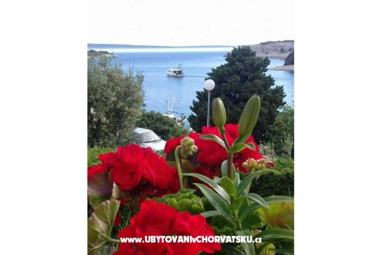 Apartmány Zeljka – foto 16