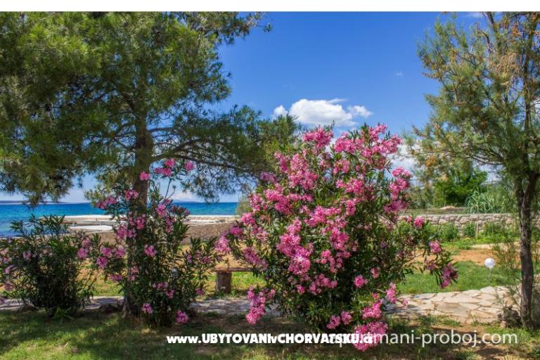 Apartmány Proboj – foto 16