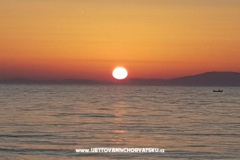 Dolphin view + pool by the beach – foto 11