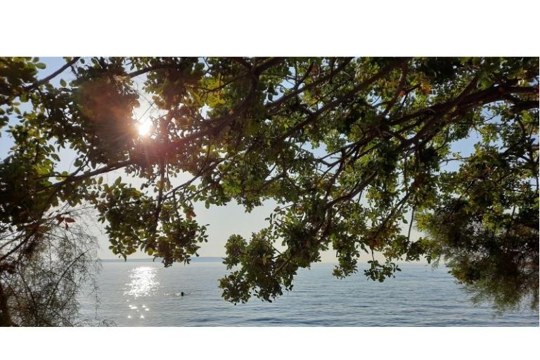 Luxury Apartmán Iva – foto 28