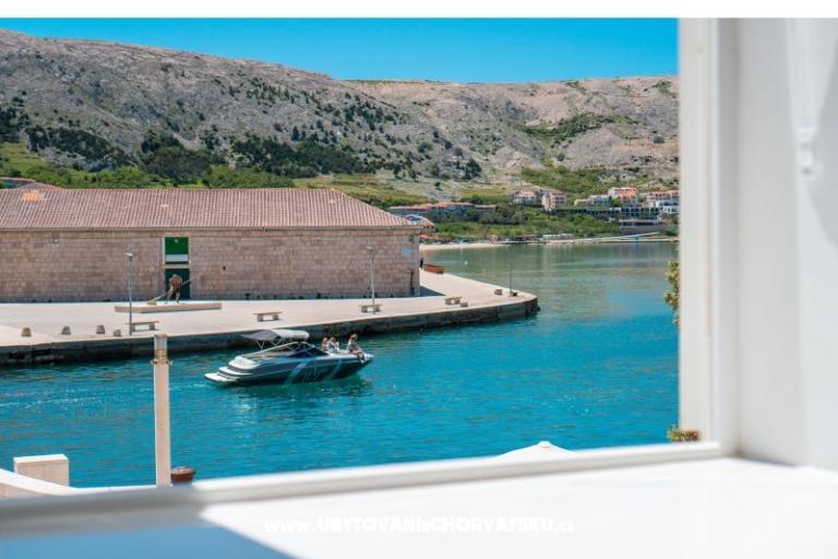 Premium Zec – foto 8