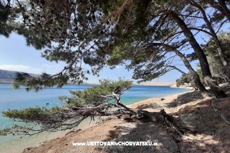 Pokoje Magdalena – foto 9