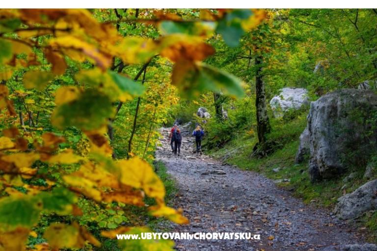 Apartmán Agava Seline – foto 11