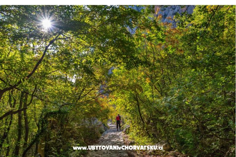 Apartmán Agava Seline – foto 12