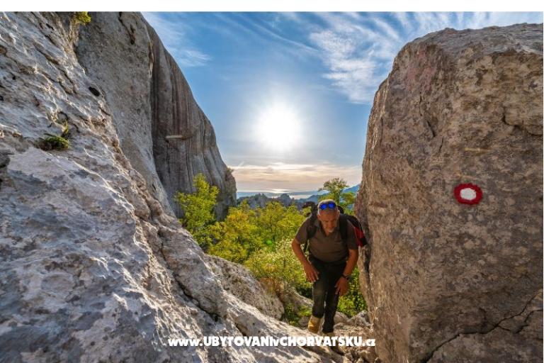 Apartmán Agava Seline – foto 13