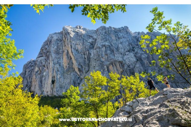 Apartmán Agava Seline – foto 9