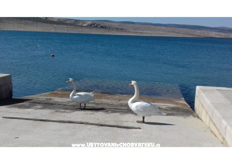 Apartmán Maja – foto 18