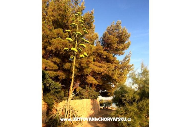 Apartmány Marin – foto 16