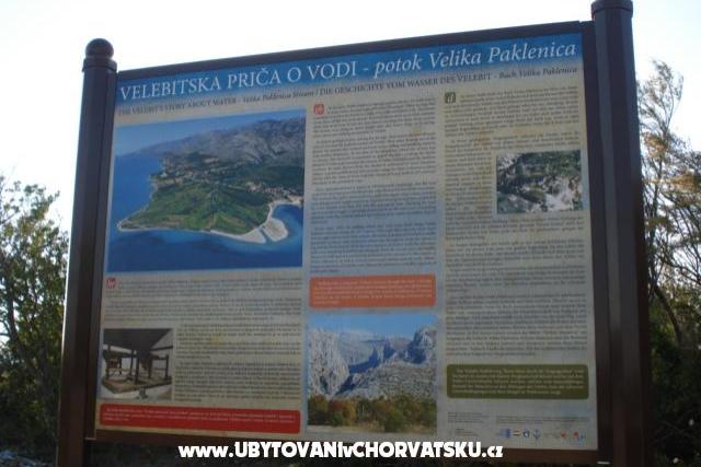 Apartmán – foto 8