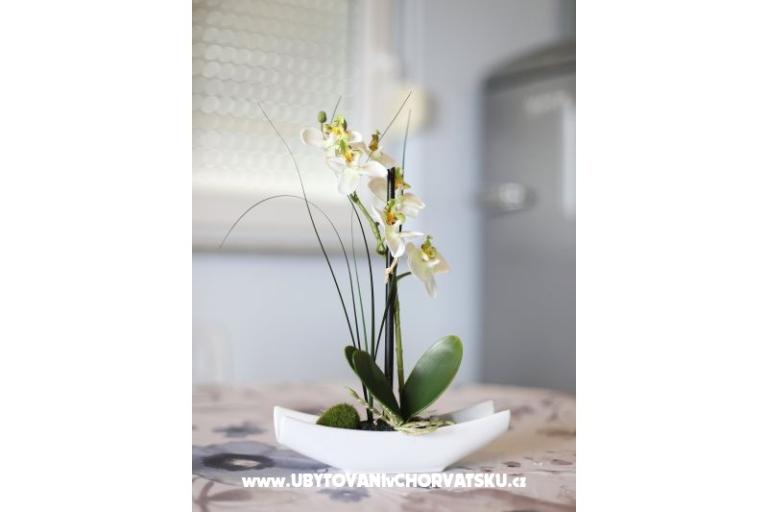 Apartmány Tica – foto 16