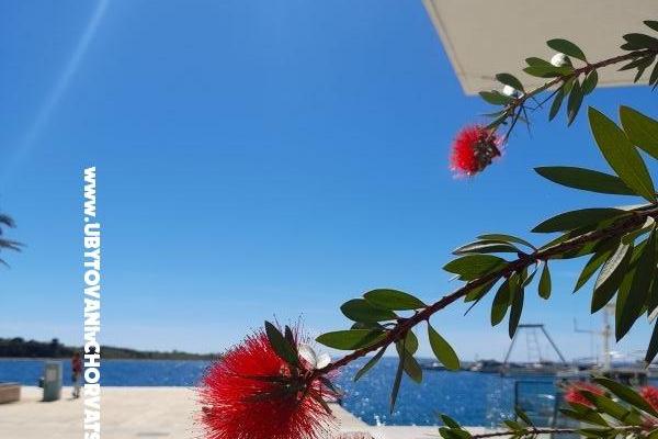 Apartmány Tomic – foto 10