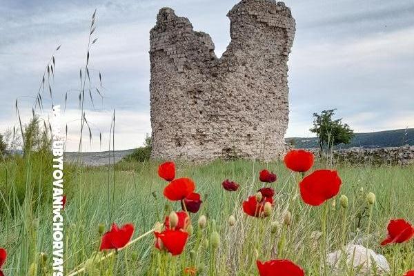 Apartmány Tomic – foto 11