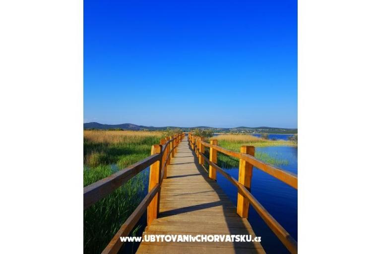 Apartmány Tomic – foto 14