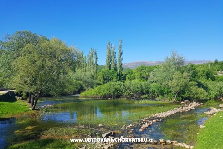 Apartmány Tomic – foto 3