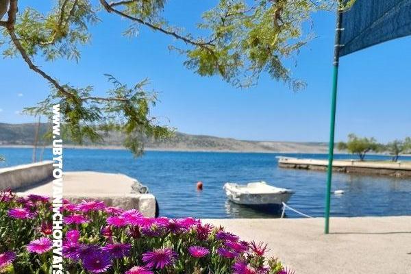 Apartmány Tomic – foto 8