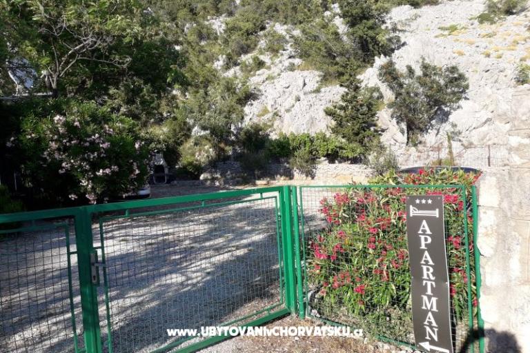 Dům k odpočinku Beli – foto 15