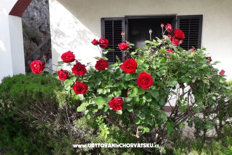 Dům k odpočinku Beli – foto 6