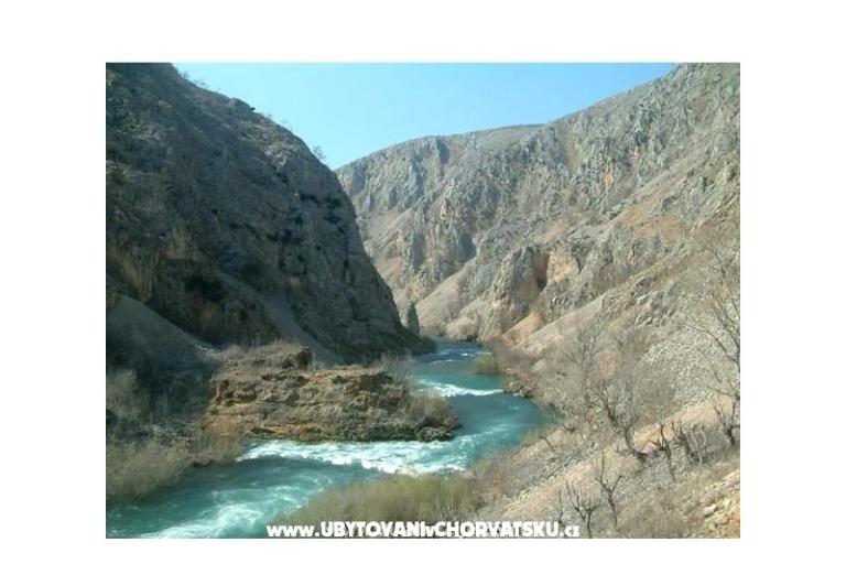 Apartmány Villa Nina – foto 8