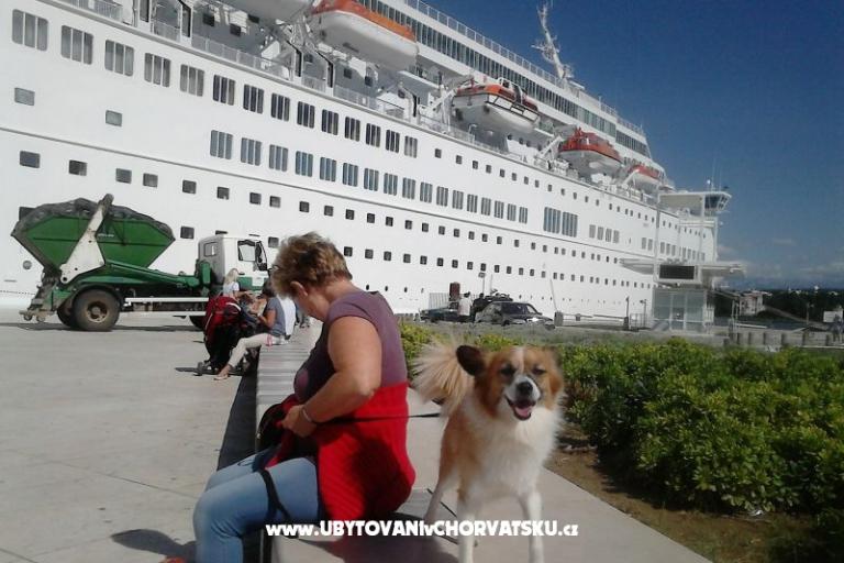 Aurora Apartmány – foto 11