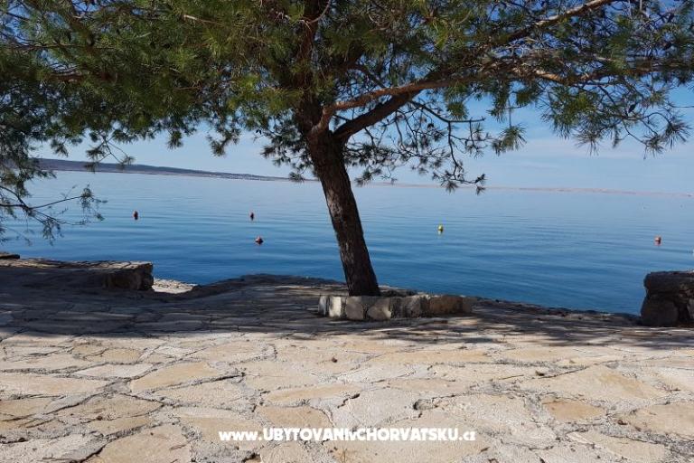 Apartmány Bosi i Goli – foto 15