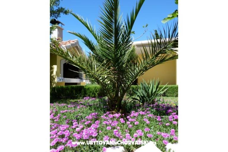 Vila Ana – foto 14