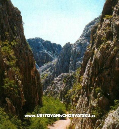 Apartmány  Danijel  – foto 17