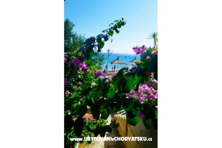 Apartmány Bonaca – foto 11