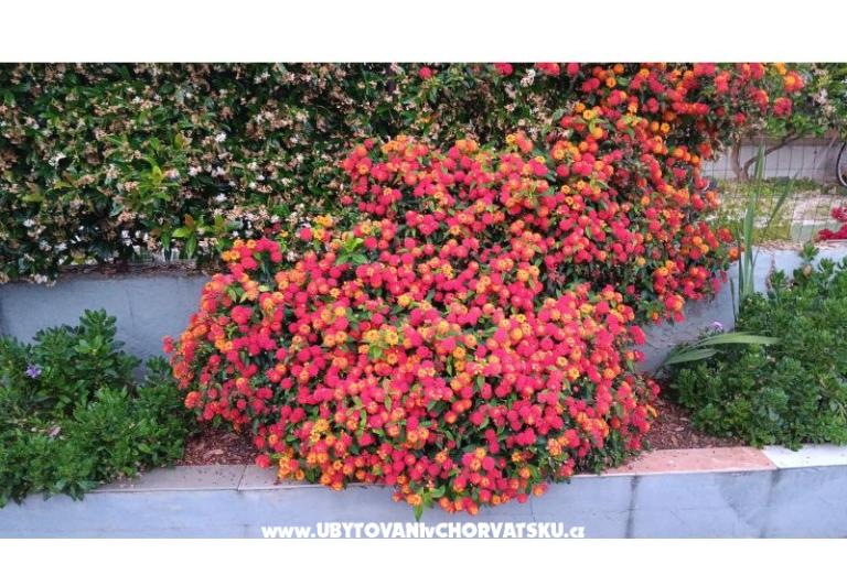 Apartmány Filip – foto 18