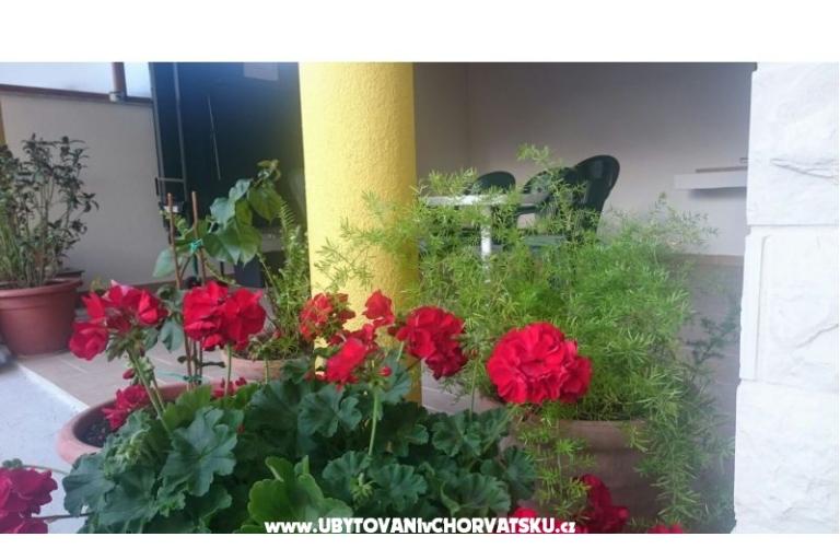 Apartmány Lucija – foto 6