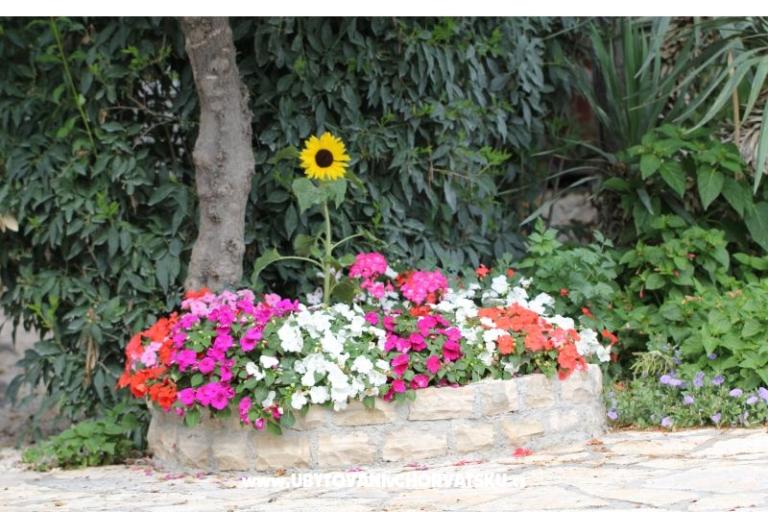 Apartmány Mamić – foto 17