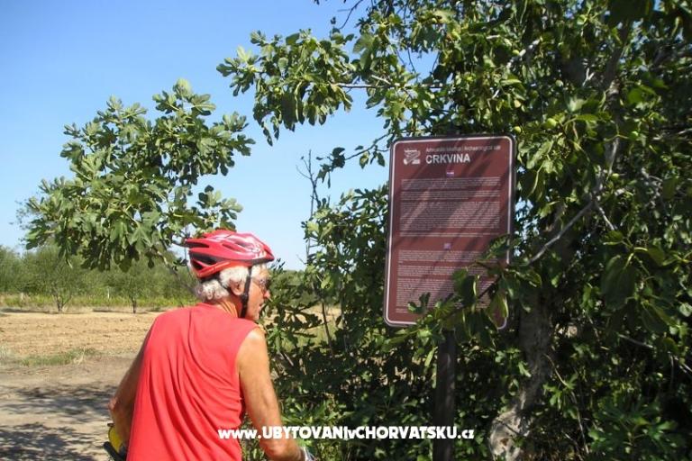 Apartmány Mario – foto 17