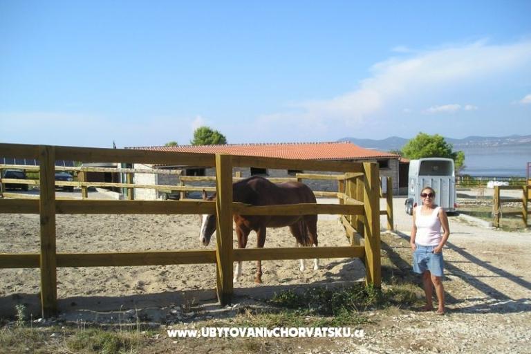 Apartmány Mario – foto 18