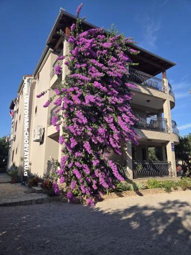 Apartmány Silvija – foto 19
