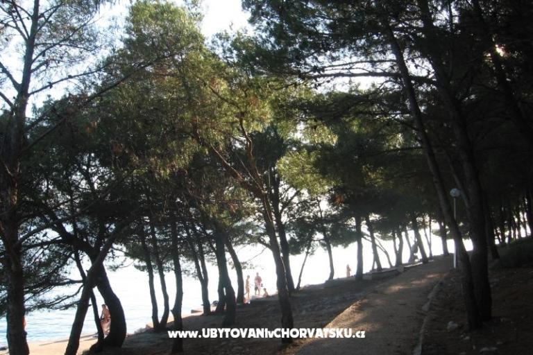 Apartmány Šimun – foto 25