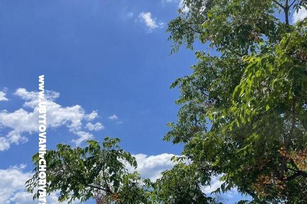 Apartmány Tina Pakoštane – foto 10