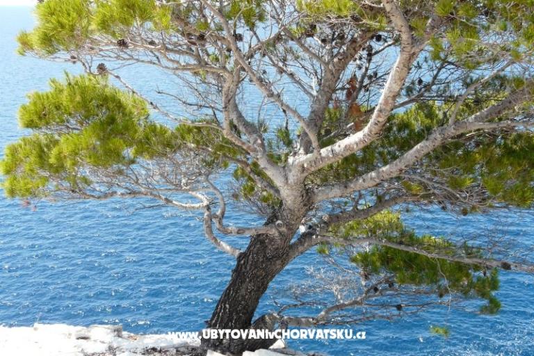 Apartmány Stupavsky – foto 11