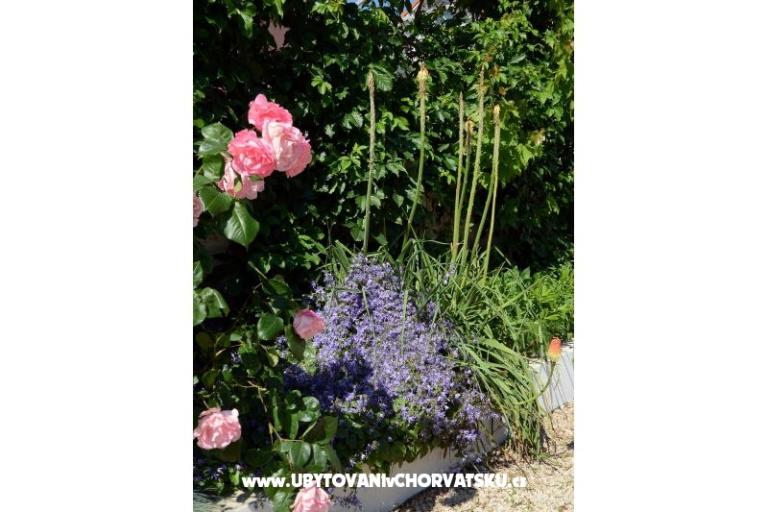 Apartmány Stupavsky – foto 13