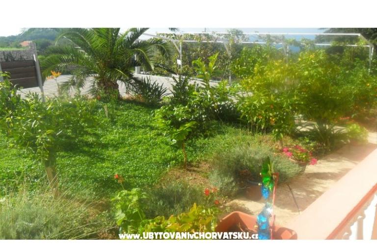 Apartmány Leo – foto 22