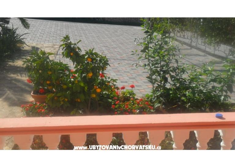 Apartmány Leo – foto 24