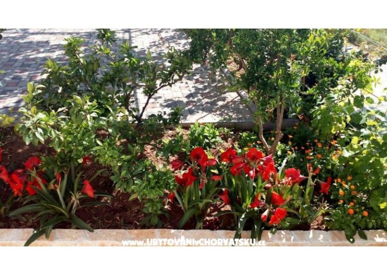 Apartmány Leo – foto 8