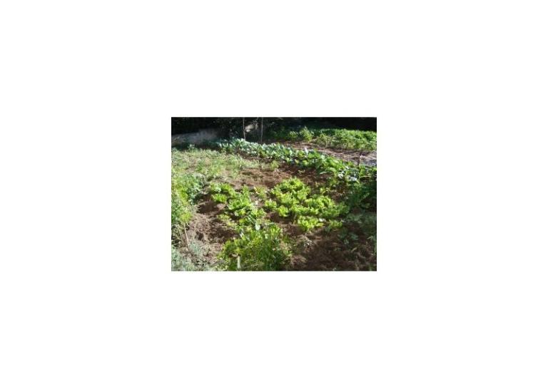 Apartmány Rosan Pakostane – foto 15