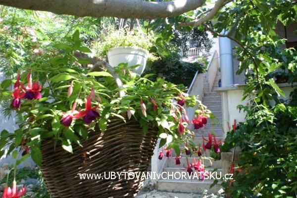 Apartmány Sokalo-Petar – foto 4